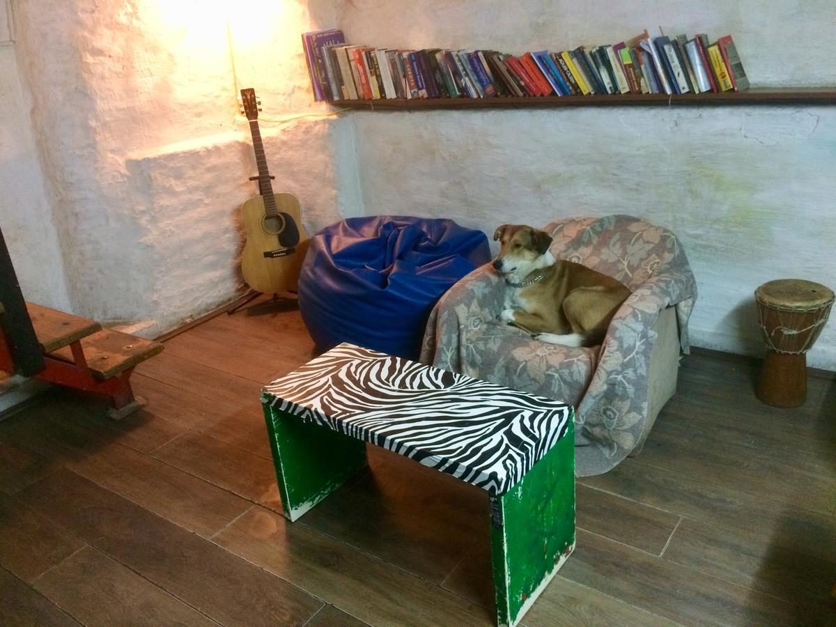 בלגרד Green Studio Hostel מראה חיצוני תמונה